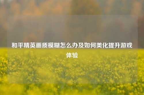 和平精英画质模糊怎么办及如何美化提升游戏体验