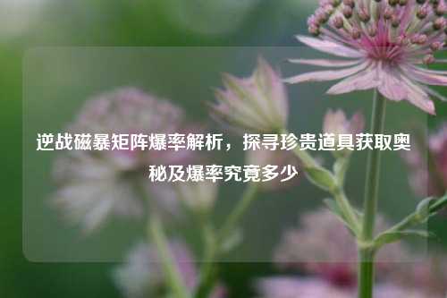 逆战磁暴矩阵爆率解析，探寻珍贵道具获取奥秘及爆率究竟多少