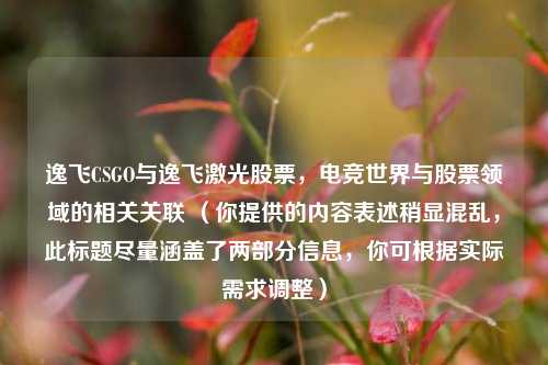 逸飞CSGO与逸飞激光股票,电竞世界与股票领域的相关关联 (你提供的内容表述稍显混乱,此标题尽量涵盖了两部分信息,你可根据实际需求调整)