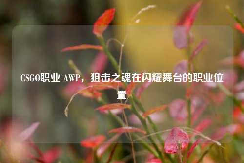 CSGO职业 AWP,狙击之魂在闪耀舞台的职业位置