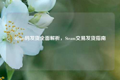 Steam码发货全面解析，Steam交易发货指南