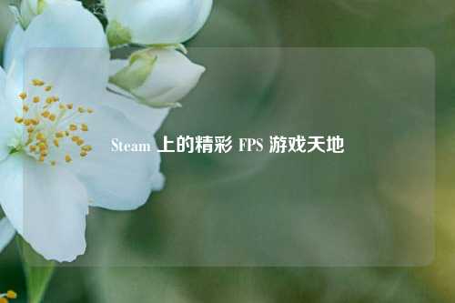 Steam 上的精彩 FPS 游戏天地