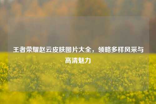 王者荣耀赵云皮肤图片大全，领略多样风采与高清魅力