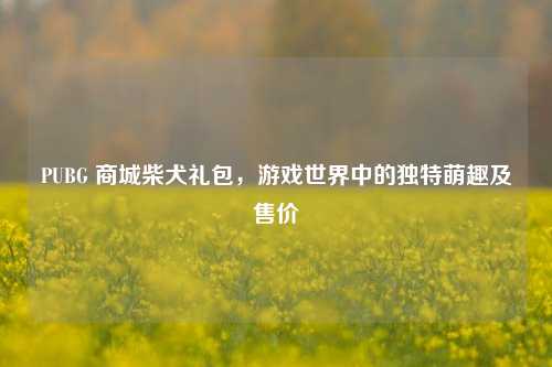 PUBG 商城柴犬礼包,游戏世界中的独特萌趣及售价