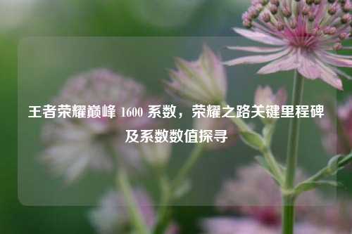 王者荣耀巅峰 1600 系数,荣耀之路关键里程碑及系数数值探寻