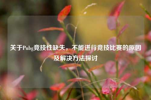 关于Pubg竞技性缺失，不能进行竞技比赛的原因及解决方法探讨