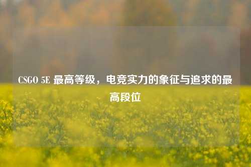 CSGO 5E 最高等级,电竞实力的象征与追求的最高段位