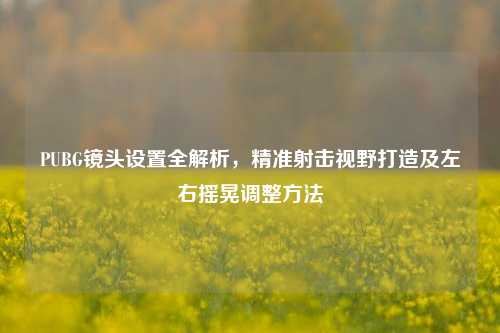 PUBG镜头设置全解析，精准射击视野打造及左右摇晃调整方法