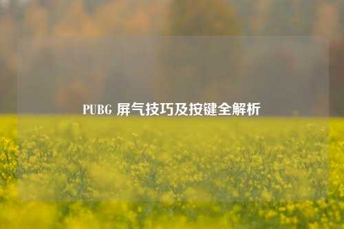 PUBG 屏气技巧及按键全解析