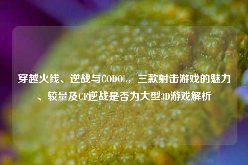 穿越火线、逆战与CODOL，三款射击游戏的魅力、较量及CF逆战是否为大型3D游戏解析