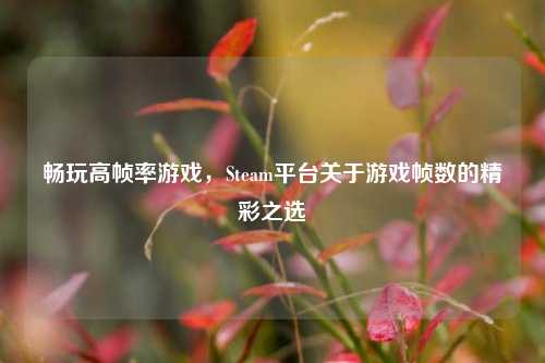 畅玩高帧率游戏，Steam平台关于游戏帧数的精彩之选