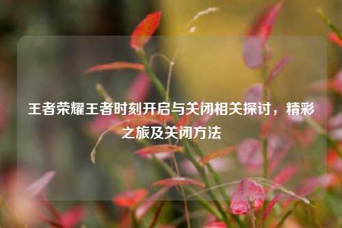 王者荣耀王者时刻开启与关闭相关探讨,精彩之旅及关闭方法