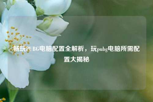 畅玩PUBG电脑配置全解析，玩pubg电脑所需配置大揭秘