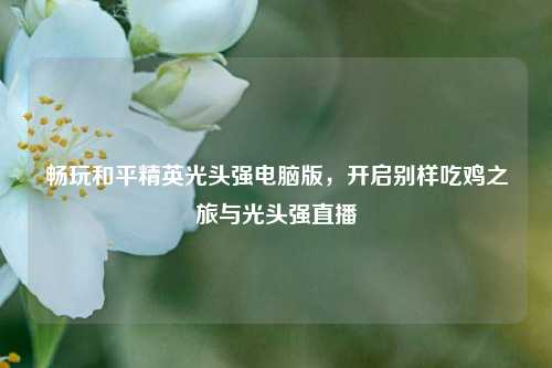 畅玩和平精英光头强电脑版，开启别样吃鸡之旅与光头强直播