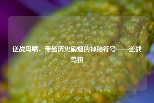 逆战鸟嘴，穿越历史硝烟的神秘符号——逆战鸟狙