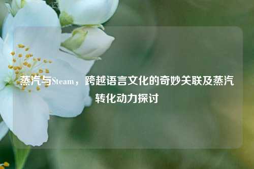蒸汽与Steam，跨越语言文化的奇妙关联及蒸汽转化动力探讨