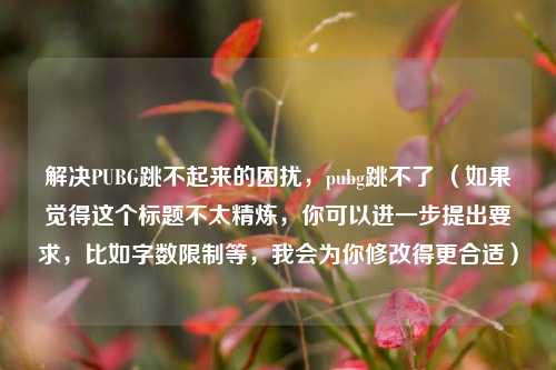 解决PUBG跳不起来的困扰,pubg跳不了 (如果觉得这个标题不太精炼,你可以进一步提出要求,比如字数限制等,我会为你修改得更合适)