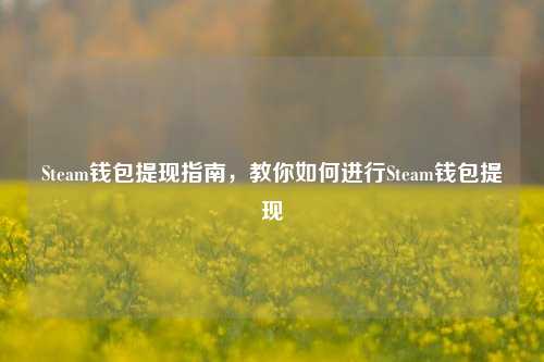 Steam钱包提现指南，教你如何进行Steam钱包提现