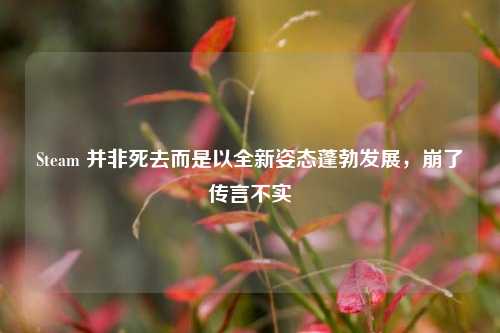 Steam 并非死去而是以全新姿态蓬勃发展,崩了传言不实