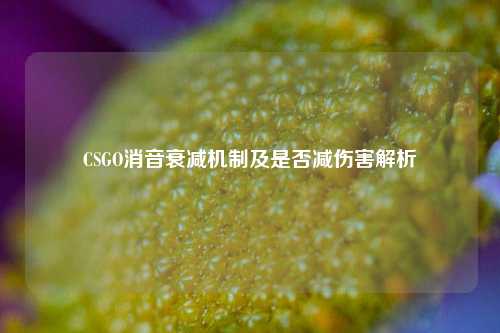 CSGO消音衰减机制及是否减伤害解析
