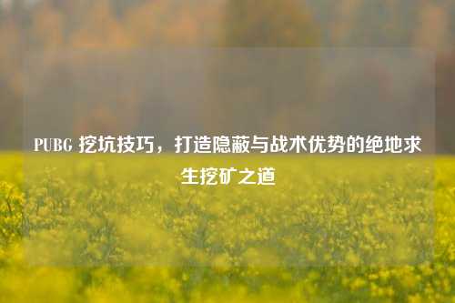 PUBG 挖坑技巧,打造隐蔽与战术优势的绝地求生挖矿之道