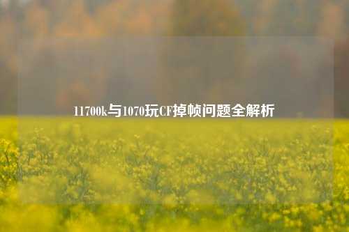 11700k与1070玩CF掉帧问题全解析