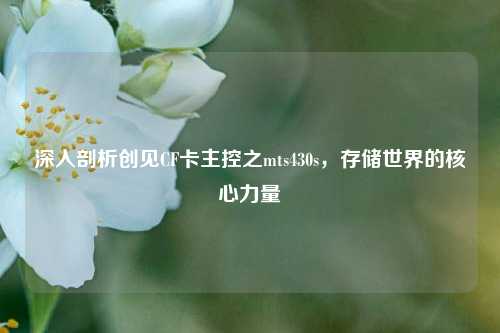 深入剖析创见CF卡主控之mts430s，存储世界的核心力量
