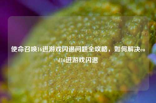 使命召唤16进游戏闪退问题全攻略,如何解决cod16进游戏闪退
