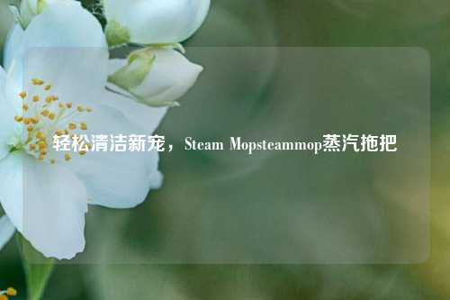 轻松清洁新宠，Steam Mopsteammop蒸汽拖把