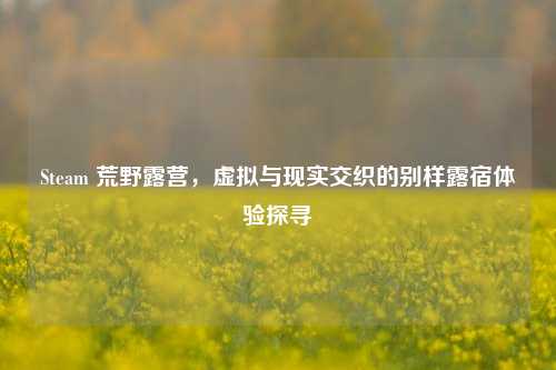 Steam 荒野露营,虚拟与现实交织的别样露宿体验探寻