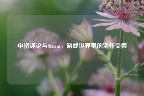 中指评论与Steam，游戏世界里的别样交集