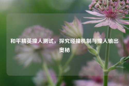 和平精英撞人测试，探究碰撞机制与撞人输出奥秘