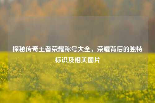 探秘传奇王者荣耀称号大全,荣耀背后的独特标识及相关图片