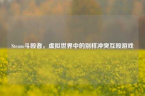 Steam斗殴者，虚拟世界中的别样冲突互殴游戏
