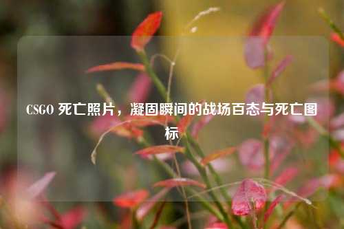 CSGO 死亡照片，凝固瞬间的战场百态与死亡图标