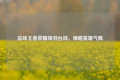 品味王者荣耀项羽台词，领略英雄气概