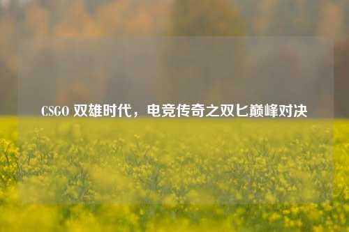 CSGO 双雄时代，电竞传奇之双匕巅峰对决