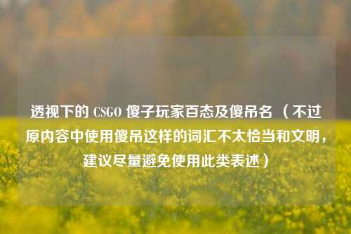透视下的 CSGO 傻子玩家百态及傻吊名 （不过原内容中使用傻吊这样的词汇不太恰当和文明，建议尽量避免使用此类表述）