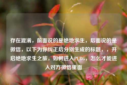 存在混淆,前面说的是绝地求生,后面说的是微信,以下为你纠正后分别生成的标题,,开启绝地求生之旅,如何进入PUBG,怎么才能进入对方微信里面