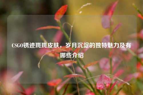 CSGO锈迹斑斑皮肤，岁月沉淀的独特魅力及有哪些介绍