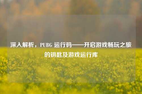 深入解析，PUBG 运行码——开启游戏畅玩之旅的钥匙及游戏运行库