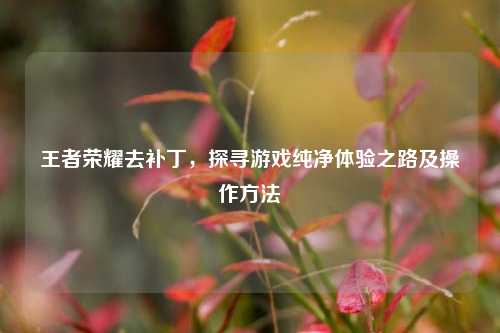王者荣耀去补丁，探寻游戏纯净体验之路及操作方法