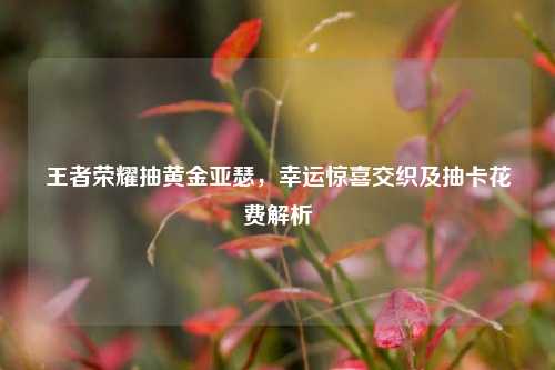 王者荣耀抽黄金亚瑟，幸运惊喜交织及抽卡花费解析