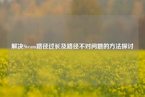 解决Steam路径过长及路径不对问题的方法探讨