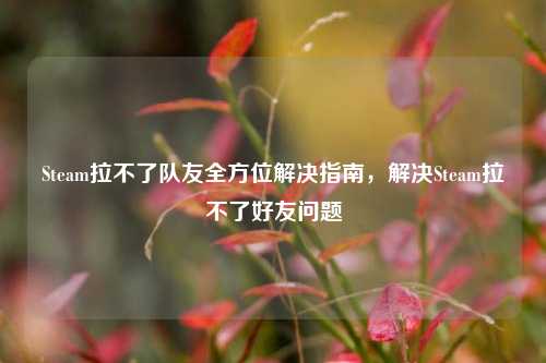 Steam拉不了队友全方位解决指南,解决Steam拉不了好友问题
