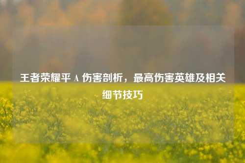 王者荣耀平 A 伤害剖析,最高伤害英雄及相关细节技巧