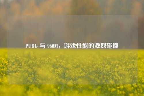 PUBG 与 960M，游戏性能的激烈碰撞
