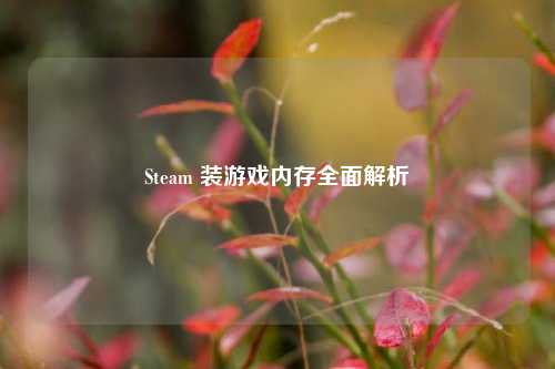 Steam 装游戏内存全面解析