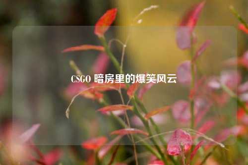 CSGO 暗房里的爆笑风云