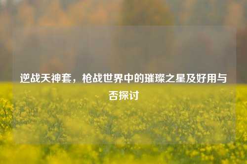 逆战天神套，枪战世界中的璀璨之星及好用与否探讨